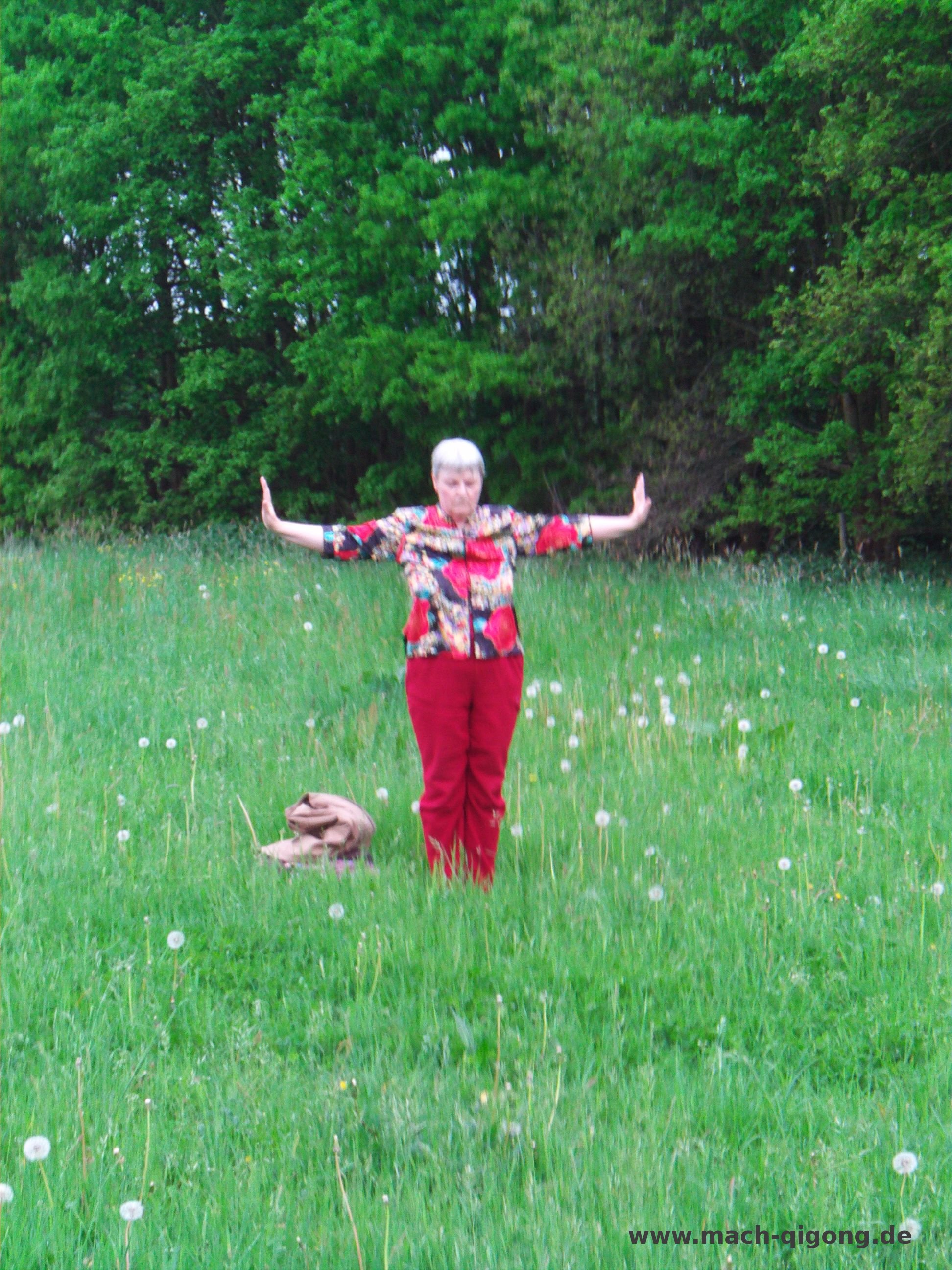 zhineng qigong coach